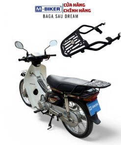 baga dream (13)